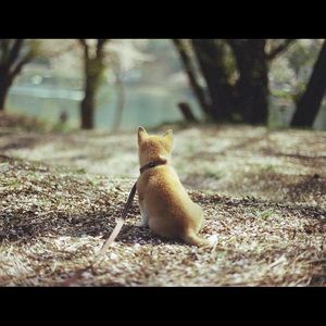 Meet your Posher, Nan